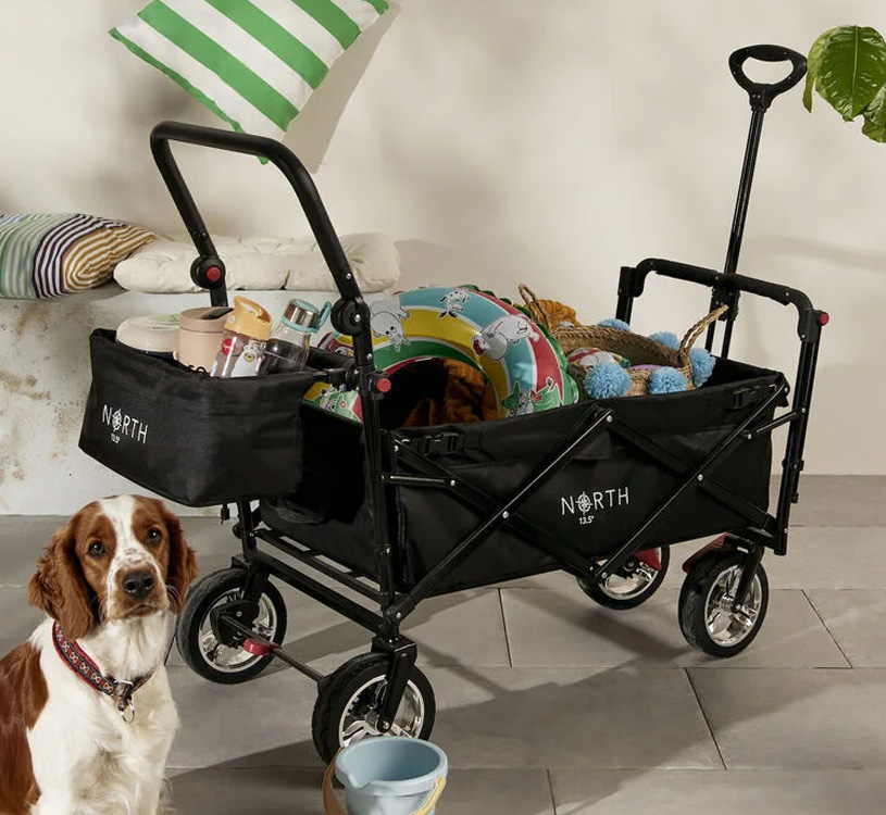 Hund ved siden av fylt vogn med strandleker.