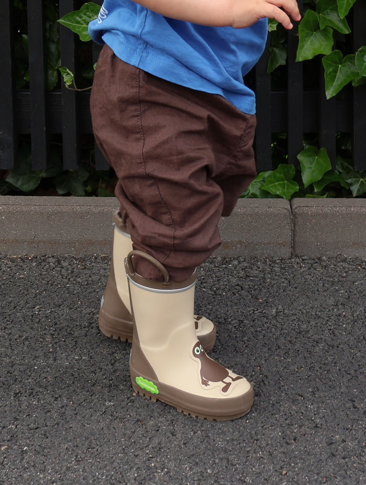BA250106-Brown-1124_5a.jpg
