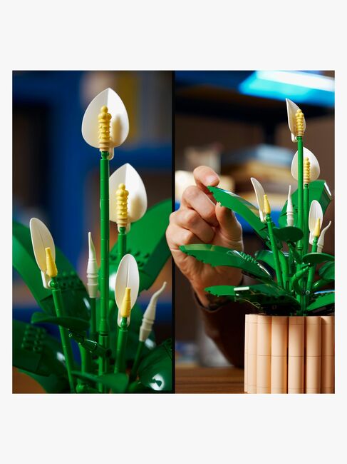 LEGO Botanicals 11504 Fredslilje