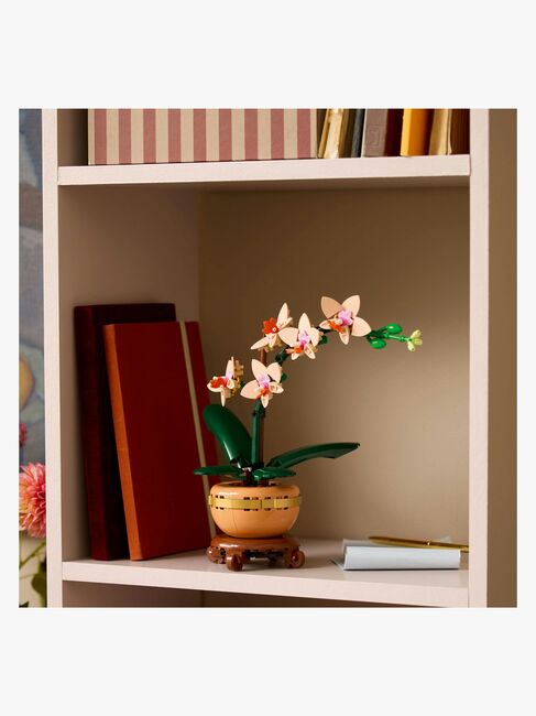 LEGO Botanicals 10343 Miniatyrorkidé