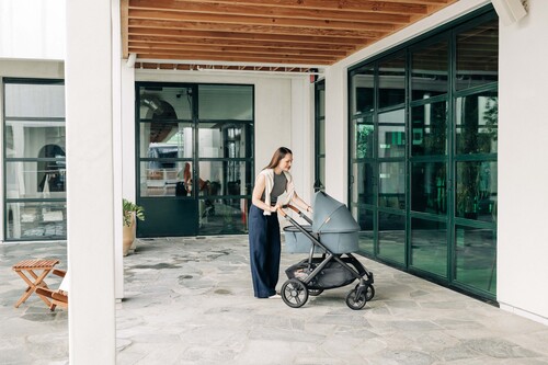 UPPAbaby Vista V3 Duovogn, Dillan