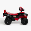 7020683-RED-2896_3b.jpg