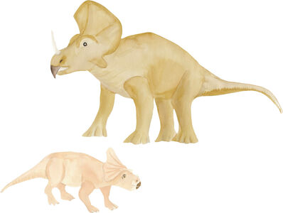 That's Mine Veggklistremerke Triceratops, Brown/Rose