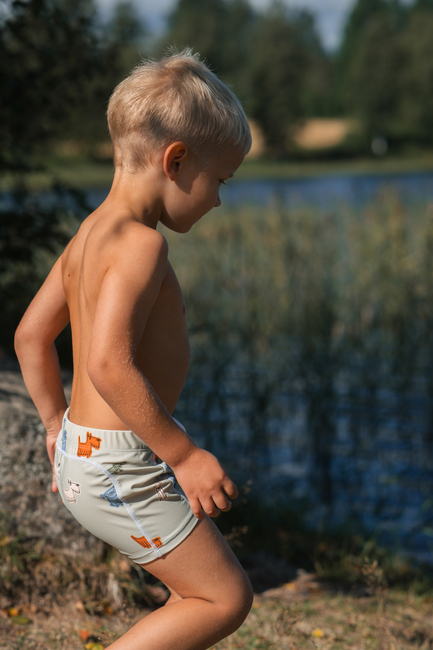 Lindberg Finn Badeshorts, Green