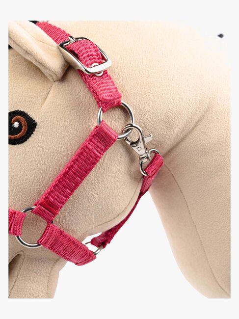 My Hobby Horse Grime, Rosa