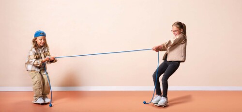 BS Toys Drakamp Balansespill