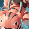 S61KRFTC-TinotheTiger-4623_3b.jpg