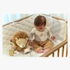 LD8321-lion-4563_4a.jpg