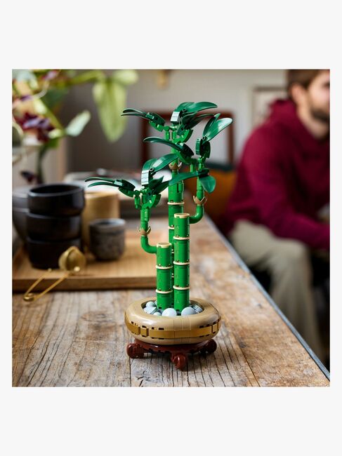 LEGO Botanicals 10344 Lykkebambus