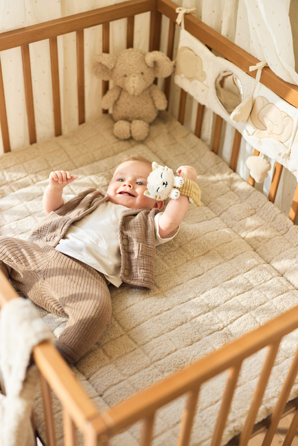 Jollein Håndleddsrangle, Charlie Cat