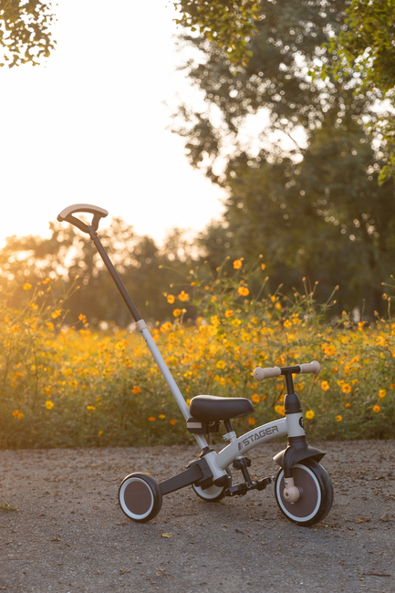 QPlay Stager 3-in-1 Transformerbar Trehjulssykkel, Brun