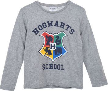 Harry Potter T-skjorte, Grey