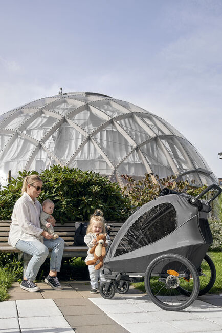 Beemoo Sporty Trail Sykkelvogn, Asphalt