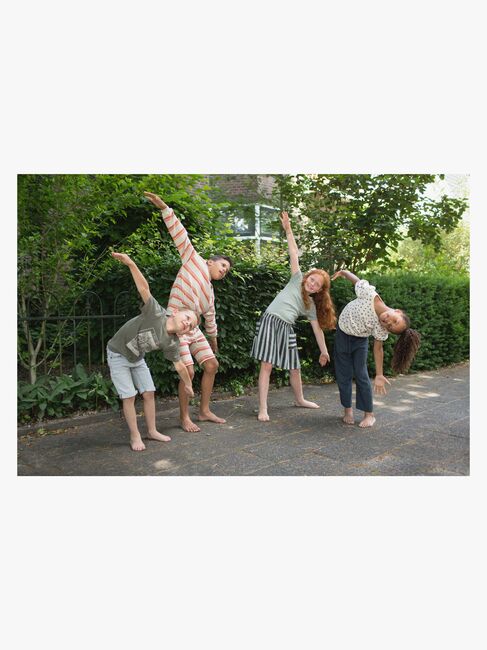 BS Toys Wheel of Action Spill