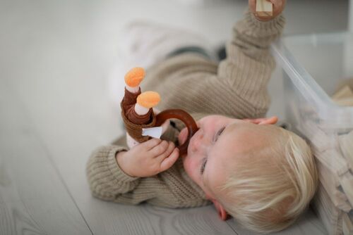 Albert Åberg Biteleke med Naturgummiring