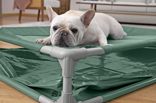 Bestway Dyrebasseng Fetchin' Fun 2-i-1