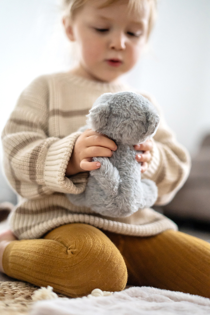 Small Foot Katt med Veske og Pleiesett