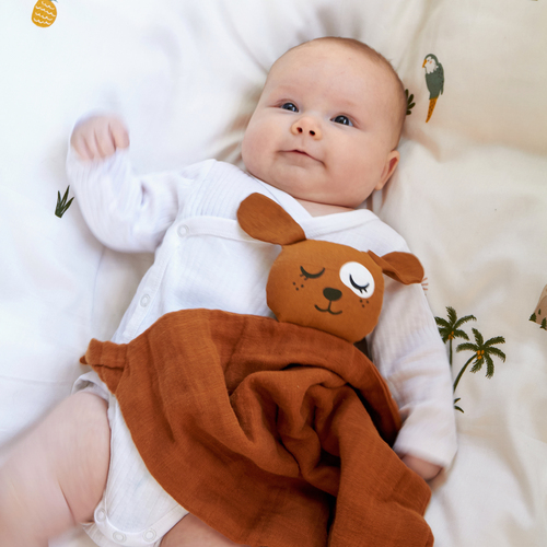 Roommate Koseklut Hund, Brown