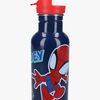 Spidey And His Amazing Friends  Rustfritt stål Vannflaske 500ml, Take a Sip