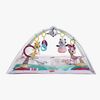 Tiny Love Gymini Deluxe Princess Tales Babygym, Multi