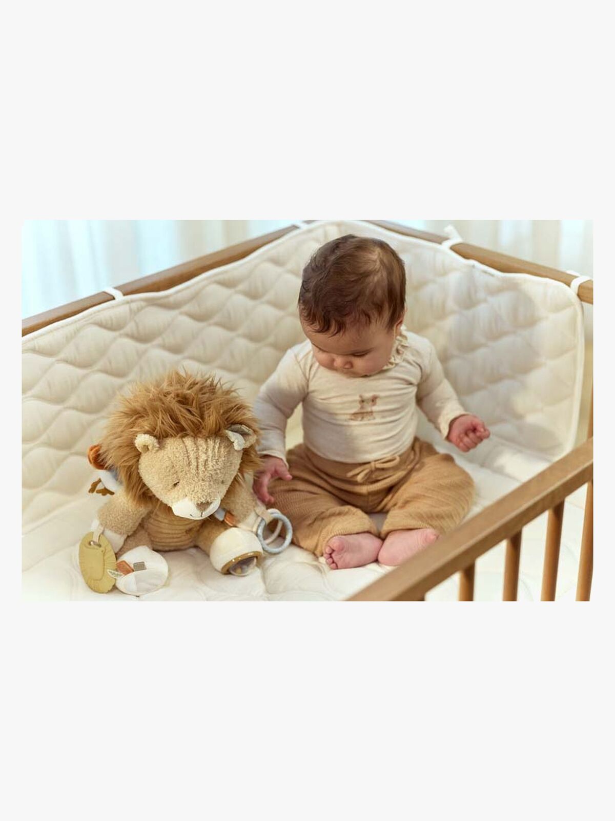 LD8321-lion-4563_4a.jpg