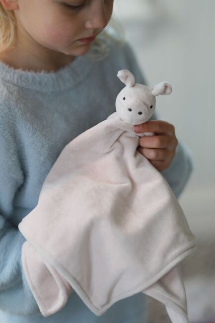 Lotta i Bråkmakergata Teddy Koseklut, Rosa