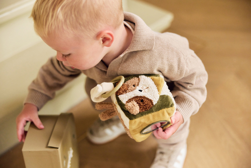 Jollein Multiaktivitetskube, Tiny Park