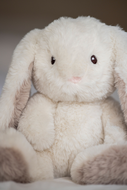 Teddykompaniet Kosedyr Mocca Kanin 34 cm, Creme