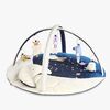 Skip Hop Celestial Dreams Babygym