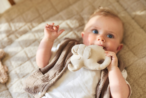 Jollein Rangle, Elephant Tales