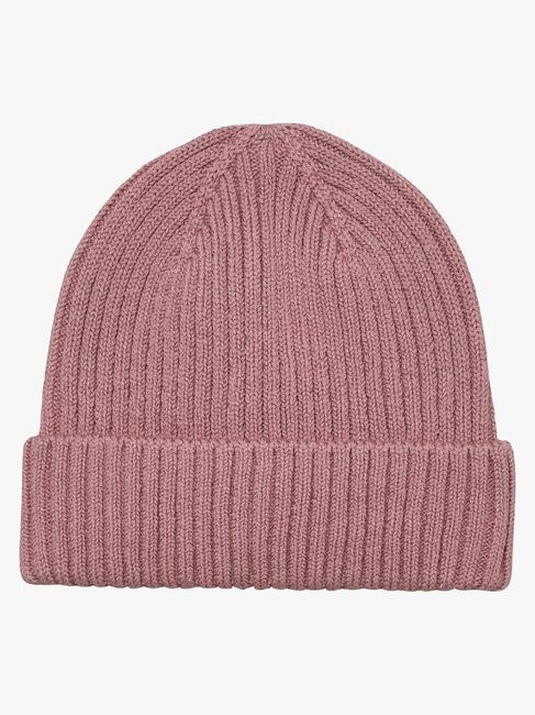 CeLaVi Lue, Nostalgia Rose