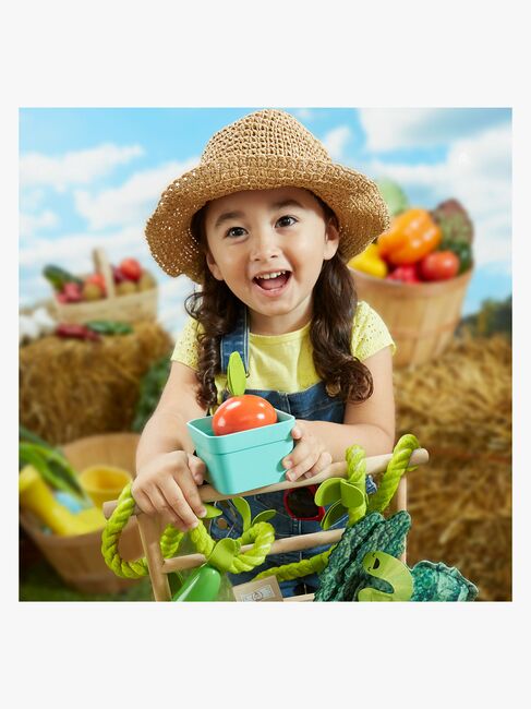 Fisher-Price Farm-to-Market Stand