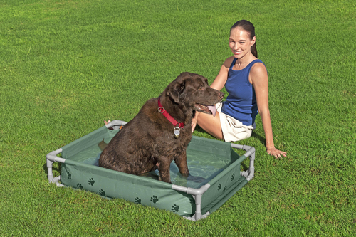 Bestway Dyrebasseng Fetchin' Fun 2-i-1