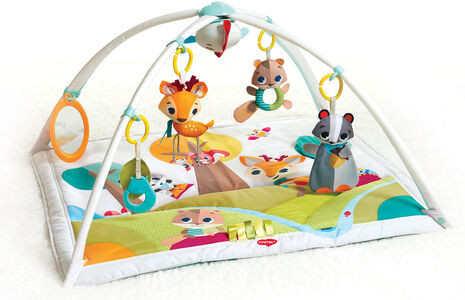 Tiny Love Gymini Deluxe Into the Forest Babygym, Multi