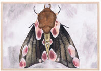 That's Mine Poster A Moth's Beauty 30x40