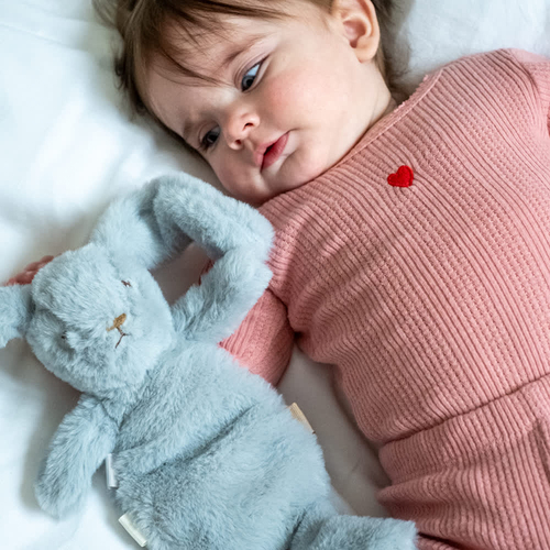 That's Mine Houston Tyngdekosedyr Kanin 0,13 kg, Blå