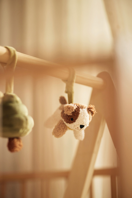 Jollein Hengeleker til Babygym, Tiny Park