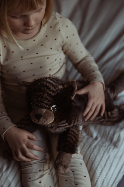 byASTRUP Tyngdekosedyr Katt 1.2 kg