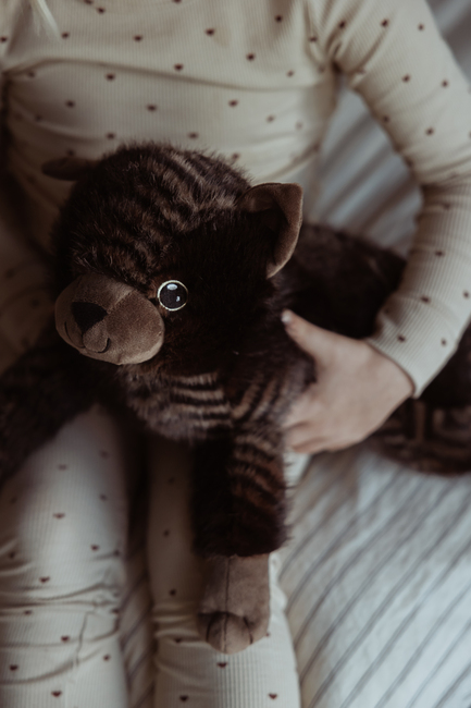 byASTRUP Tyngdekosedyr Katt 1.2 kg