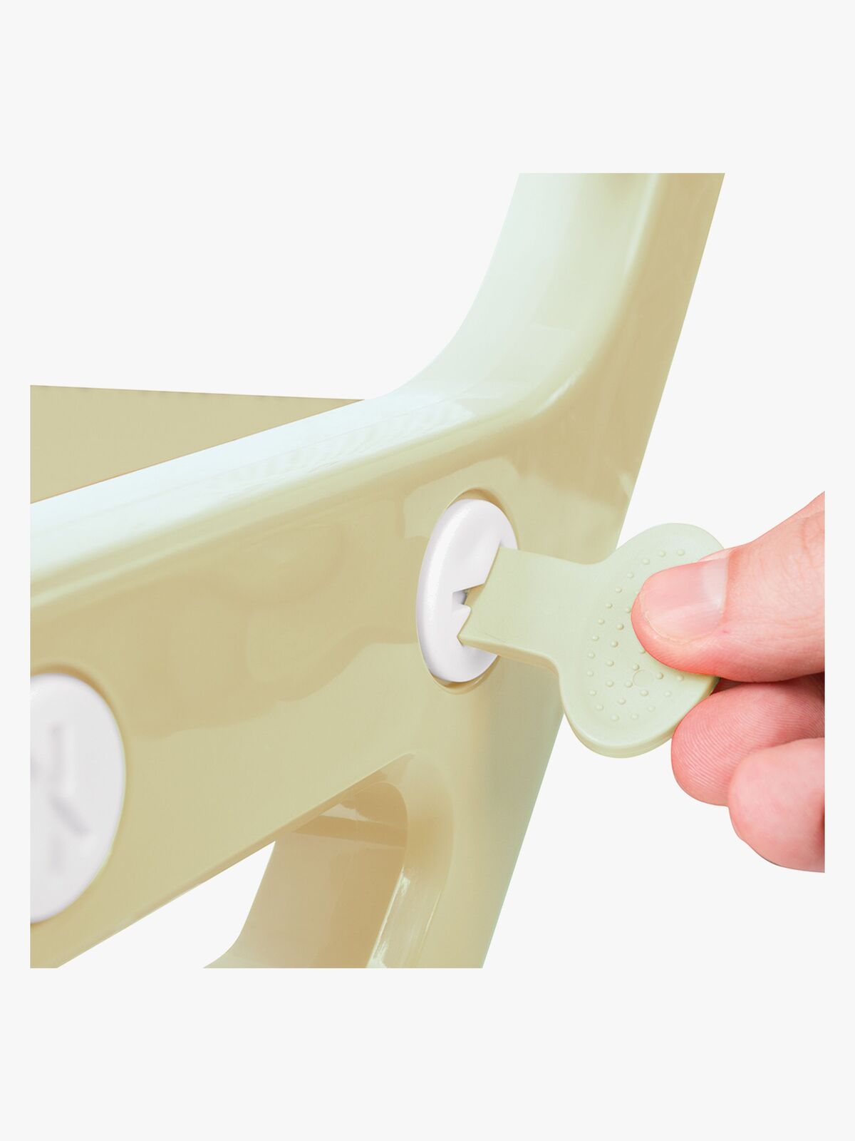 Dotostege-7242-3667_3d.jpg