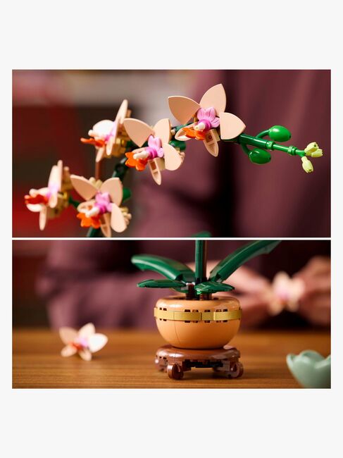 LEGO Botanicals 10343 Miniatyrorkidé