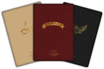 Harry Potter Skrivebok 3-pack