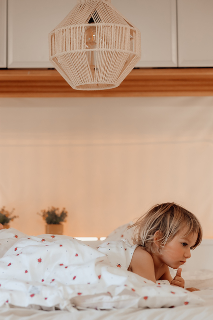 Vanilla Copenhagen Sengesett Baby 70x80, Lady Lovebug