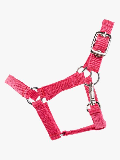 My Hobby Horse Grime, Rosa