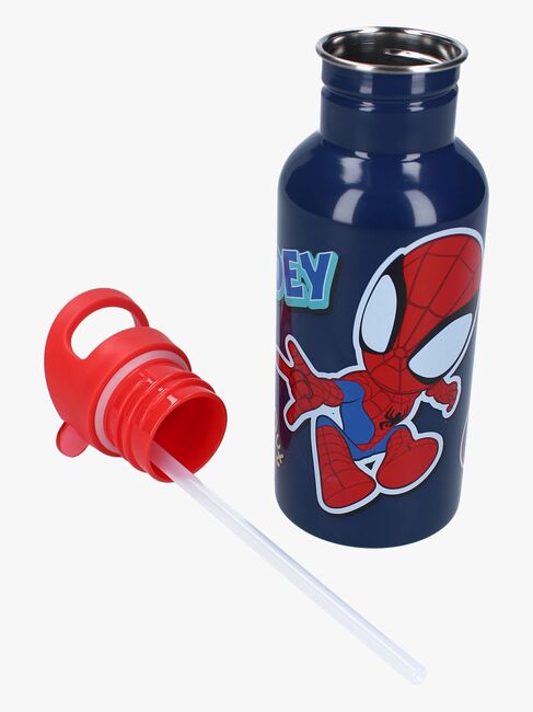 Spidey And His Amazing Friends  Rustfritt stål Vannflaske 500ml, Take a Sip