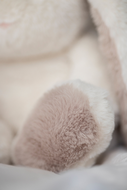 Teddykompaniet Kosedyr Mocca Kanin 34 cm, Creme