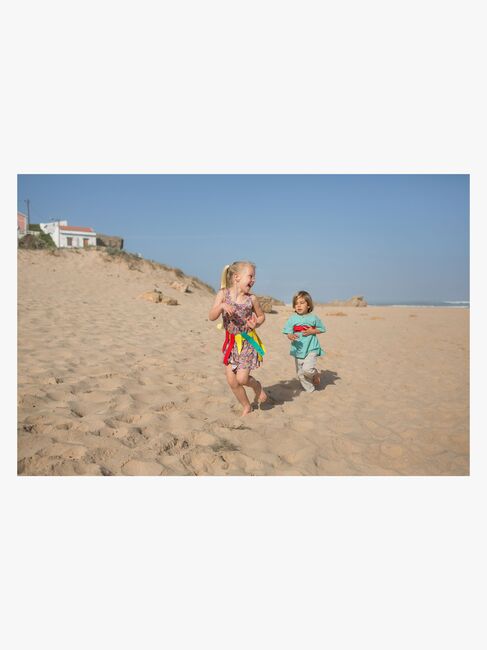 BS Toys Catch & Snatch Spill