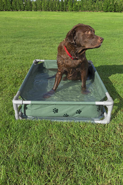 Bestway Dyrebasseng Fetchin' Fun 2-i-1