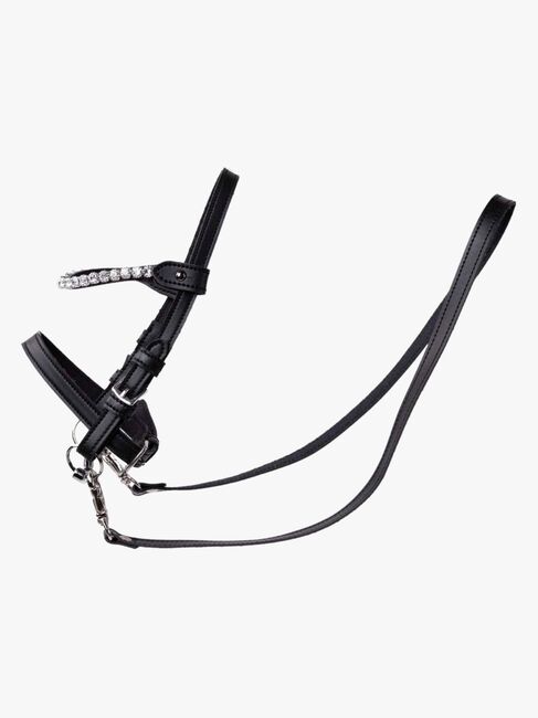 My Hobby Horse Hodelag med Silverstone, Brun