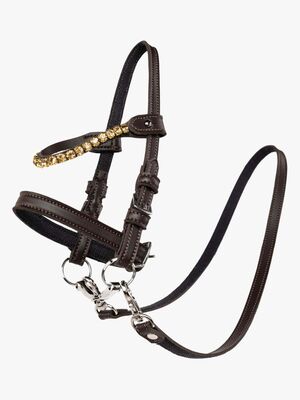 My Hobby Horse Hodelag med Gullsteiner, Brun